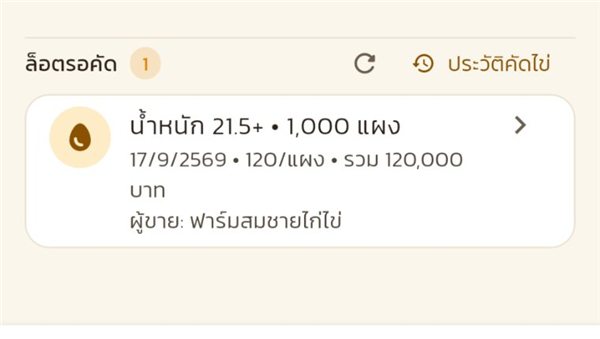 ล็อตรอคัดเหลือกองเดียว